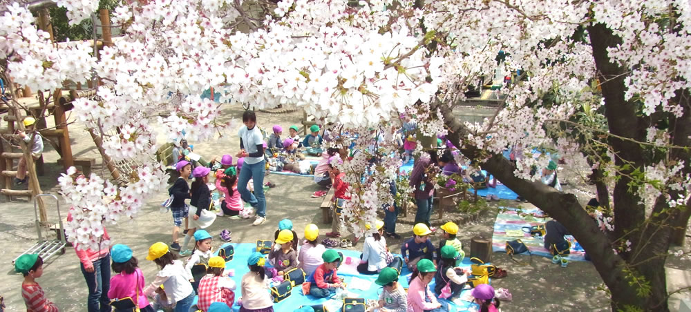 冨士見幼稚園